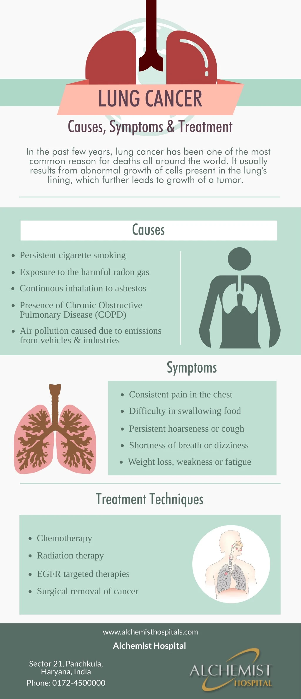 Ppt Lung Cancer Causes Symptoms And Treatment Powerpoint Presentation 8218