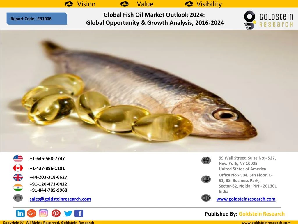 global fish oil market outlook 2024 global n.