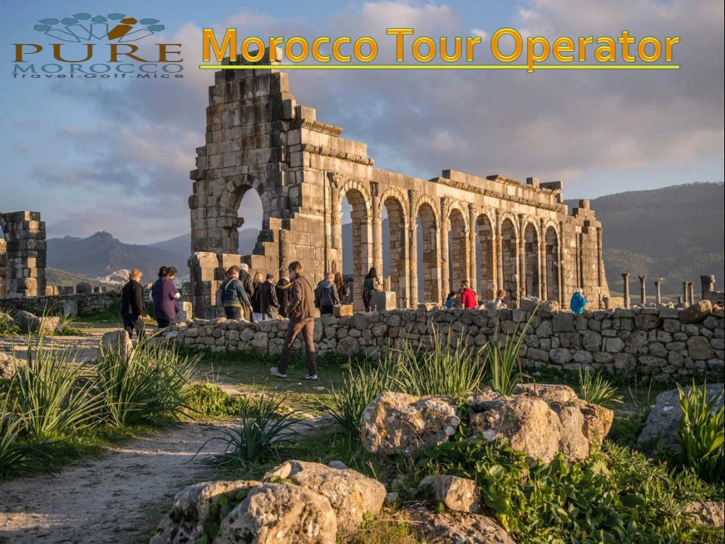 morocco tour operator n.