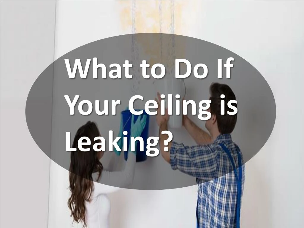 What To Do If Your Ceiling Is Leaking