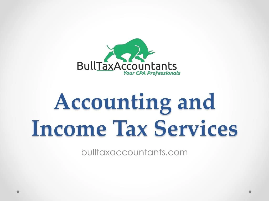 accounting and income tax services n.