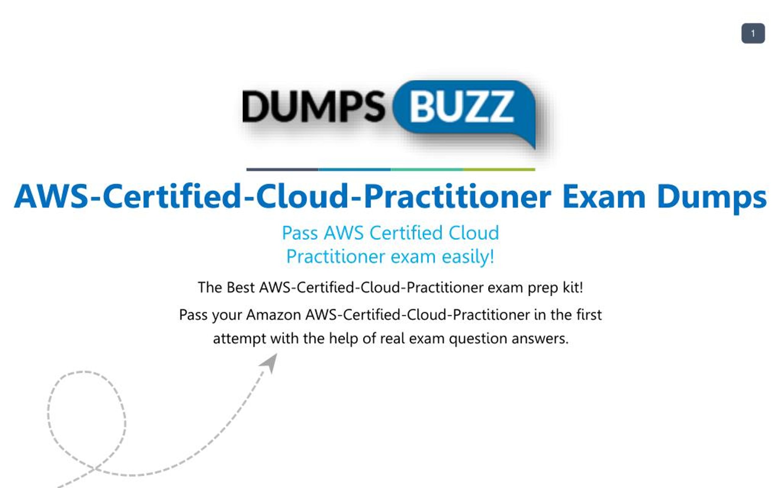 Exam AWS-Certified-Cloud-Practitioner Preparation