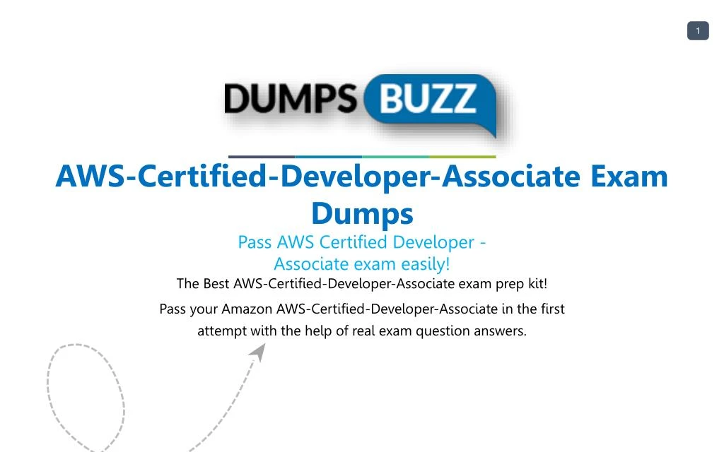 AWS-Certified-Developer-Associate Mock Exam