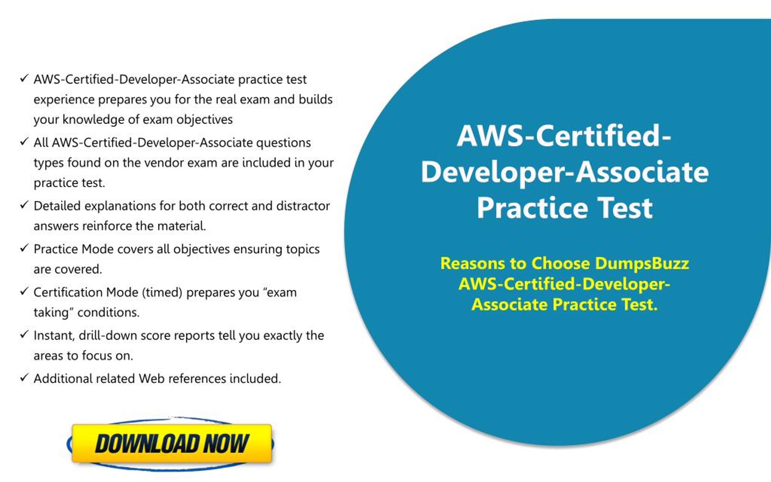 AWS-Certified-Developer-Associate Practice Exam Pdf