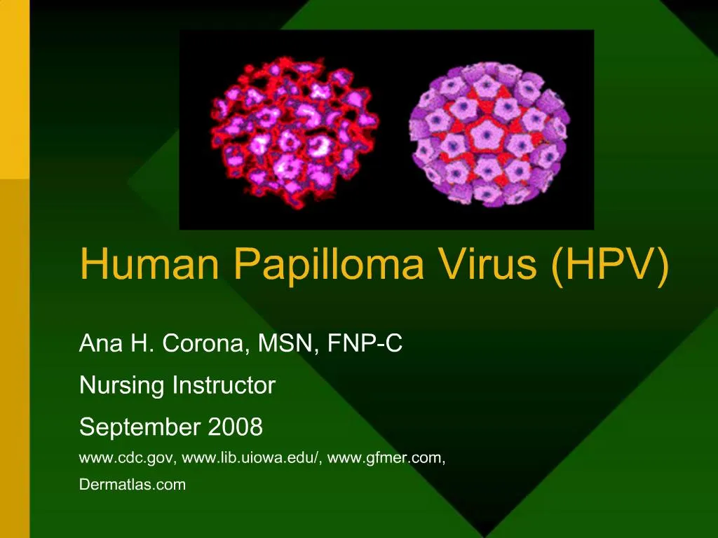 humán papillomavírus ppt