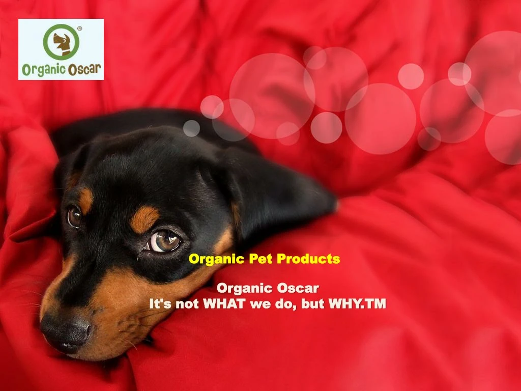 organic pet products organic pet products n.