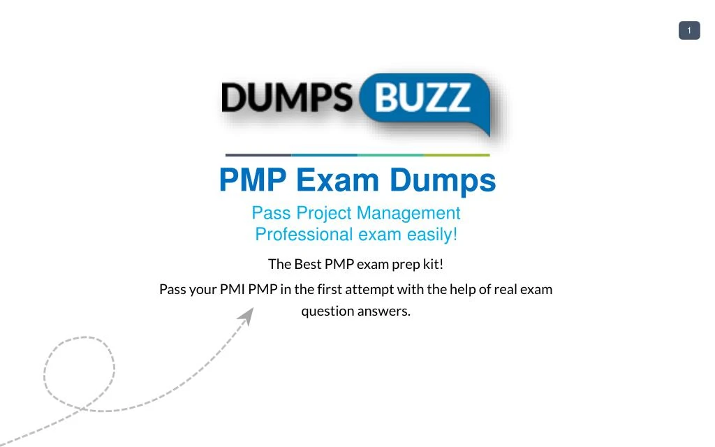 PMP-Deutsch PDF