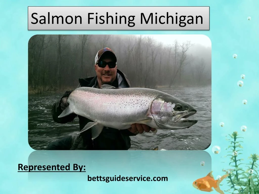 salmon fishing michigan n.