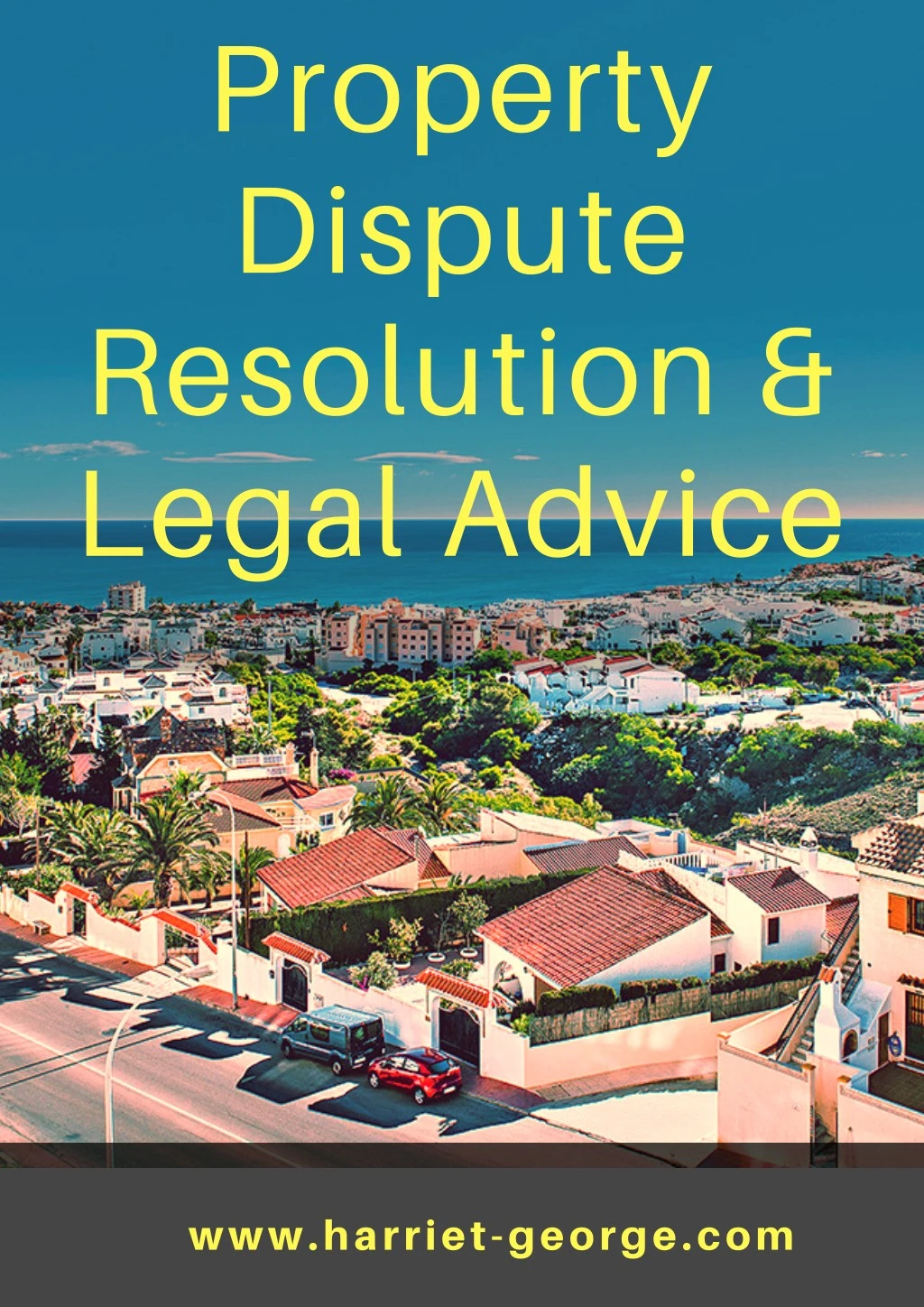 property dispute resolution legal advice n.