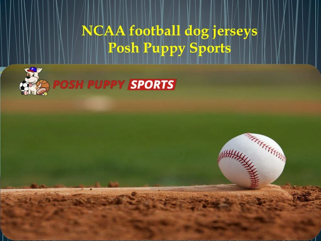 nca a football dog jerseys posh puppy sports n.