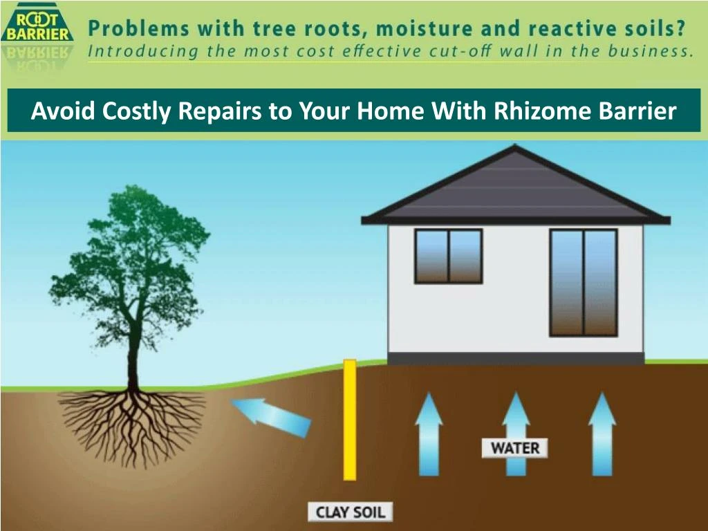 avoid costly repairs to your home with rhizome barrier n.