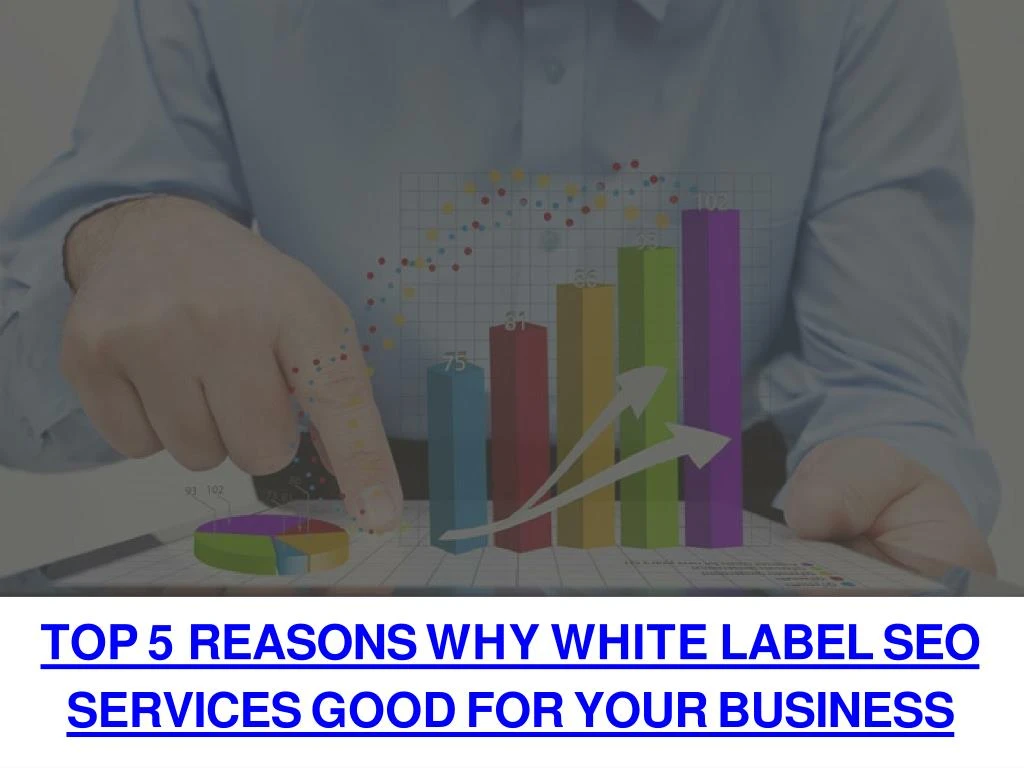top 5 reasons why white label seo services good for your business n.