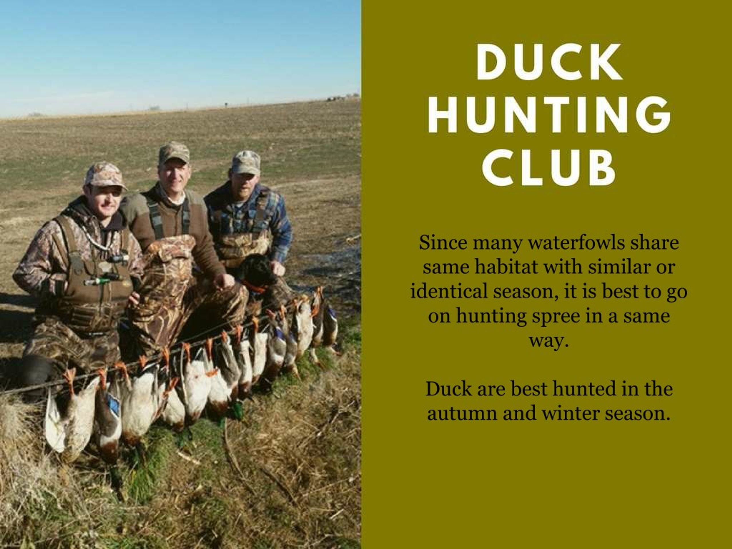 Hunting Club. Гуд Хант. Duck Hunting перевод. Ducks are the best.