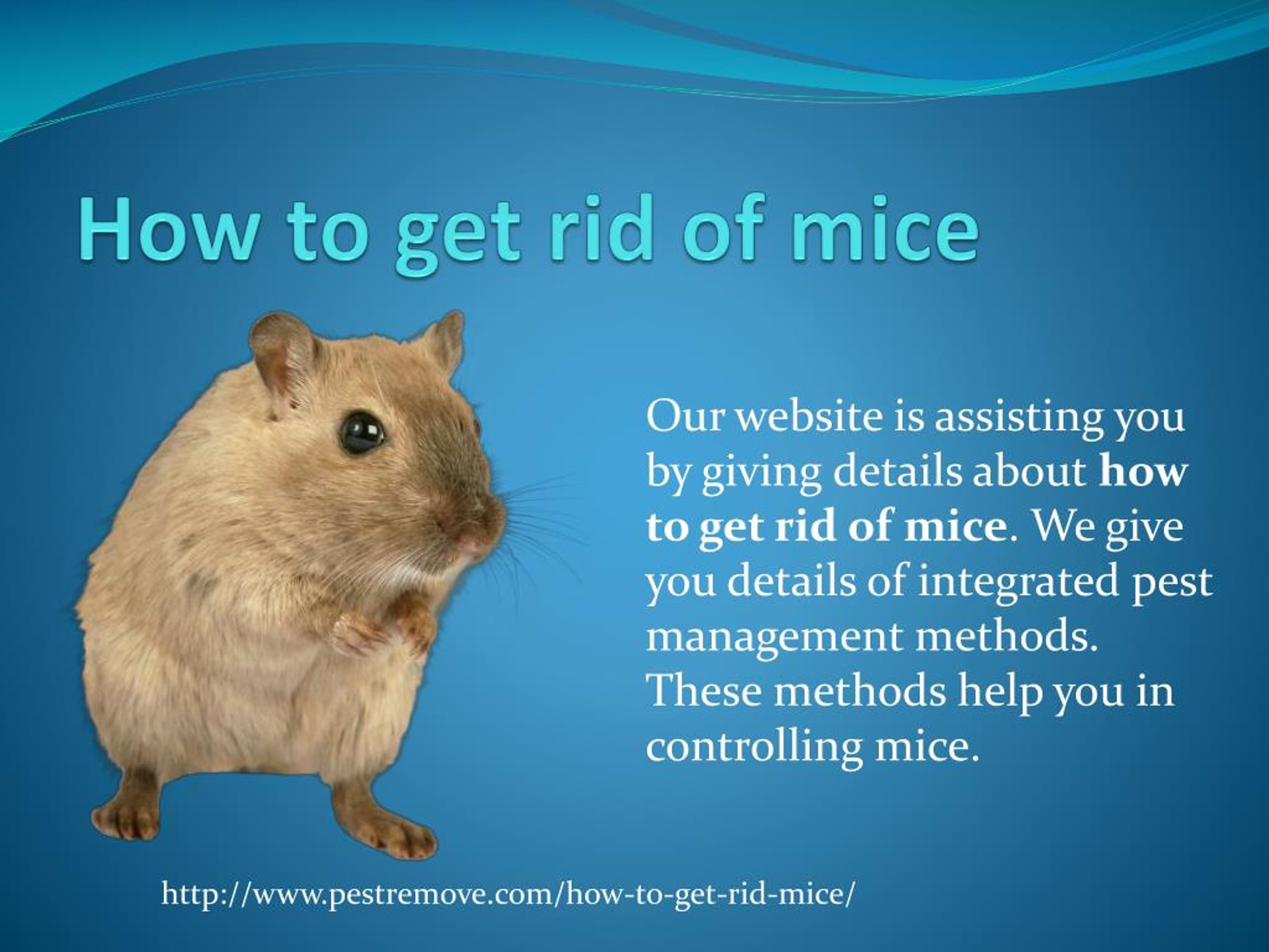 mice website