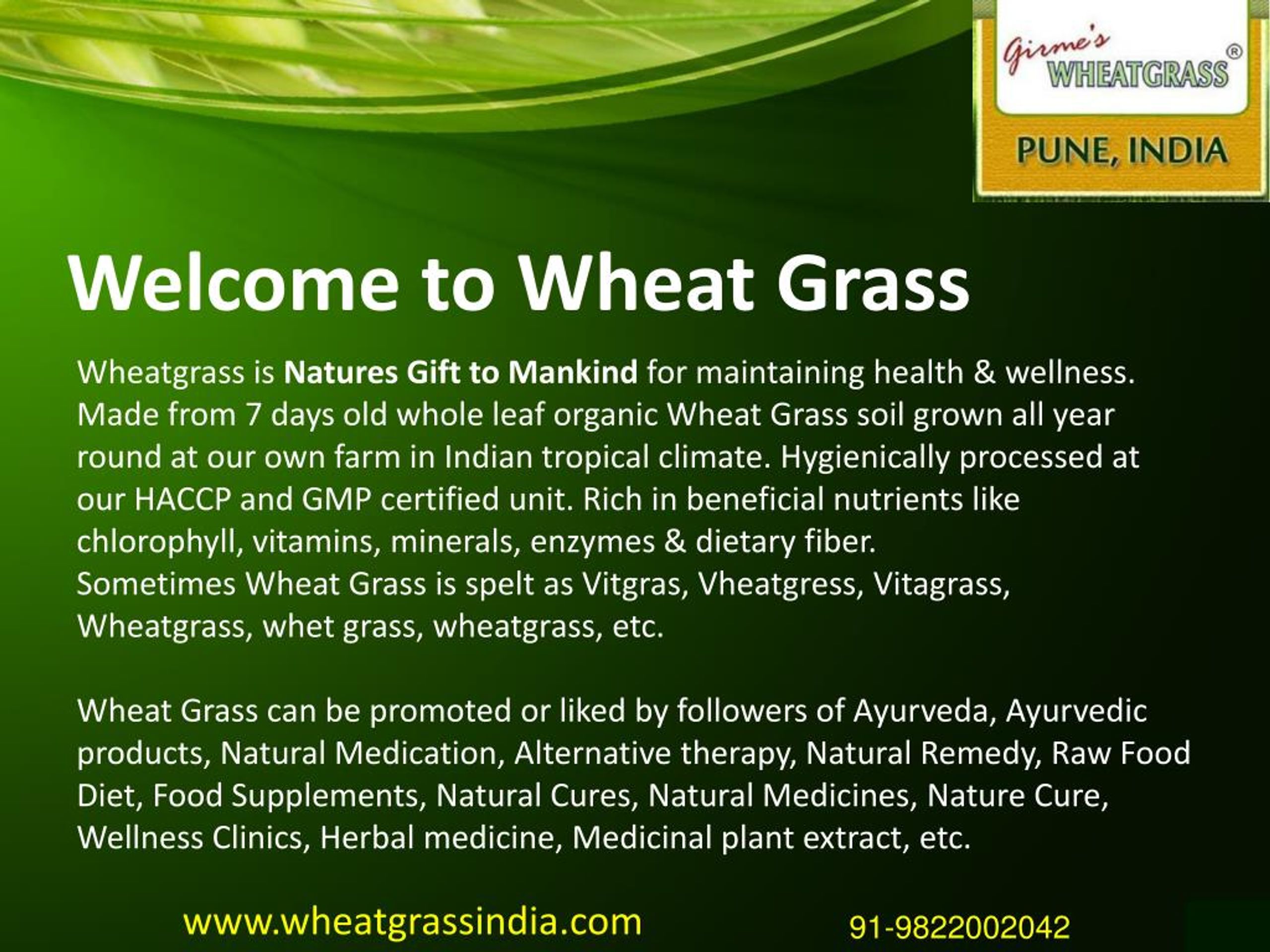 wheatgrass business plan in india