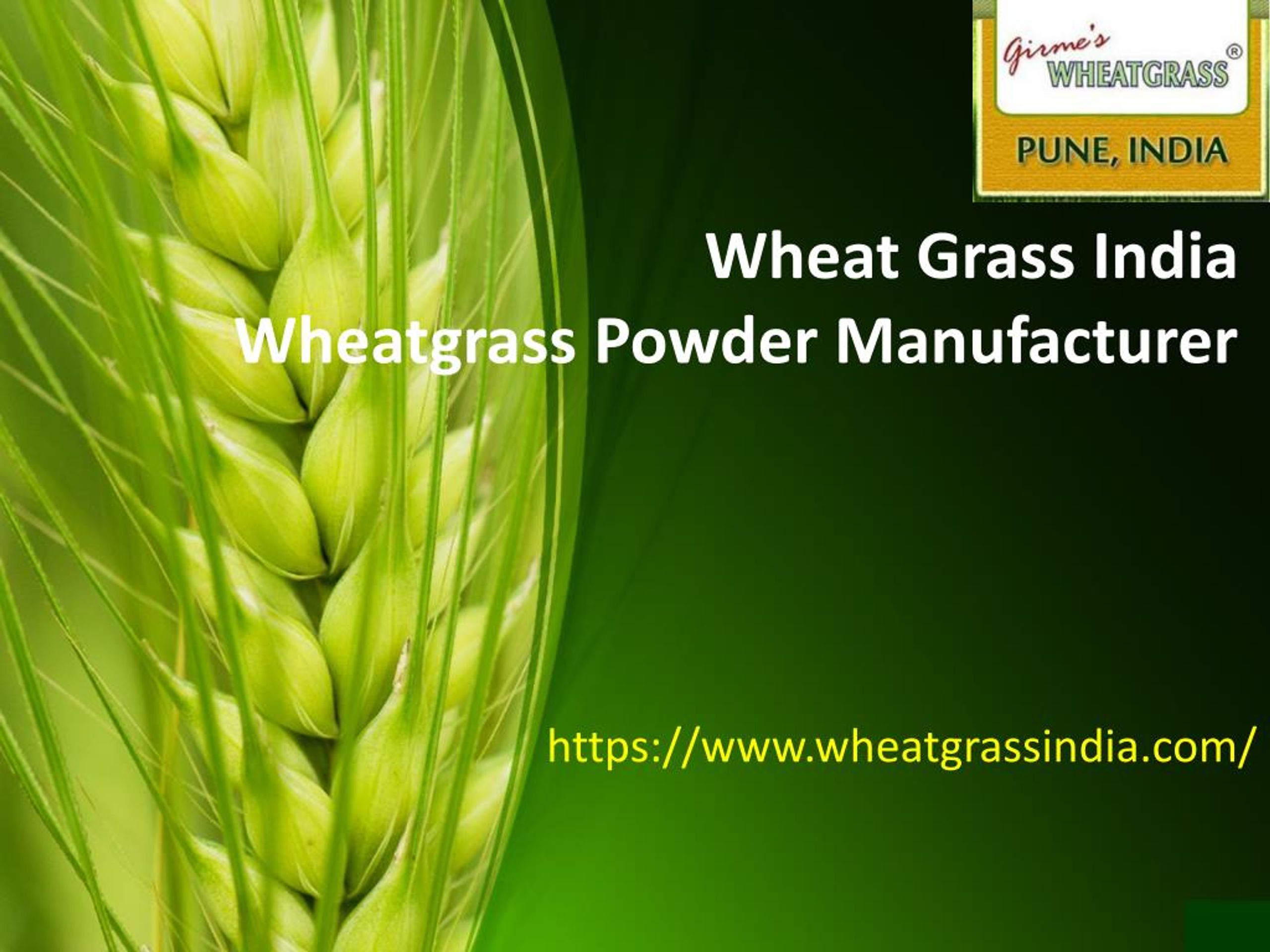 wheatgrass business plan in india