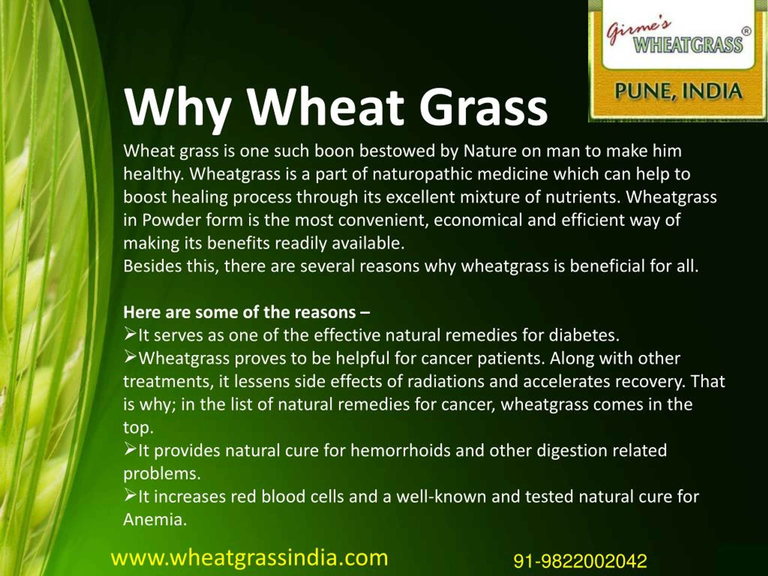 wheatgrass business plan in india