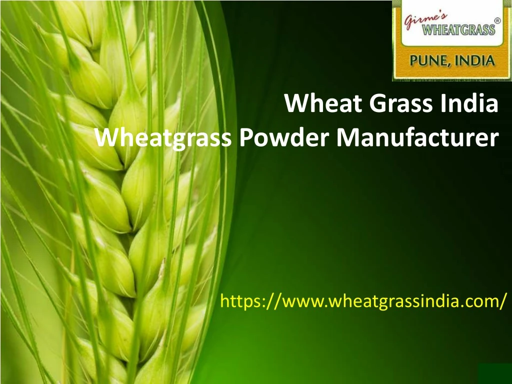 wheatgrass business plan in india