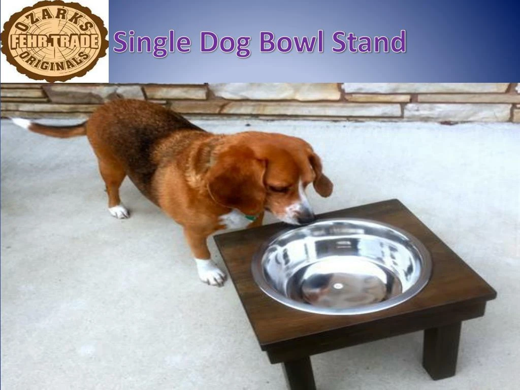 single dog dish stand