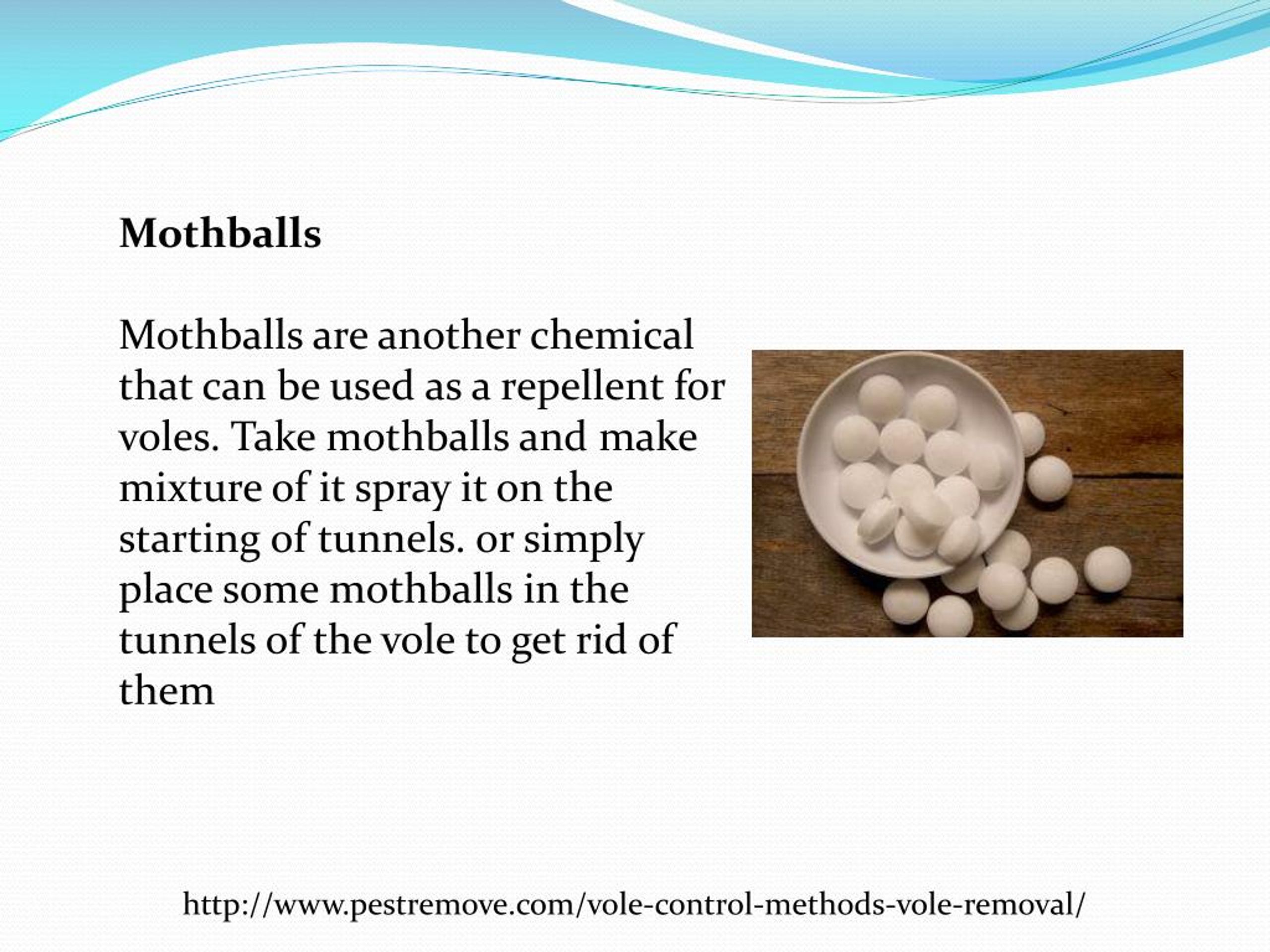 PPT VOLE CONTROL METHODS FOR VOLE REMOVAL PowerPoint Presentation