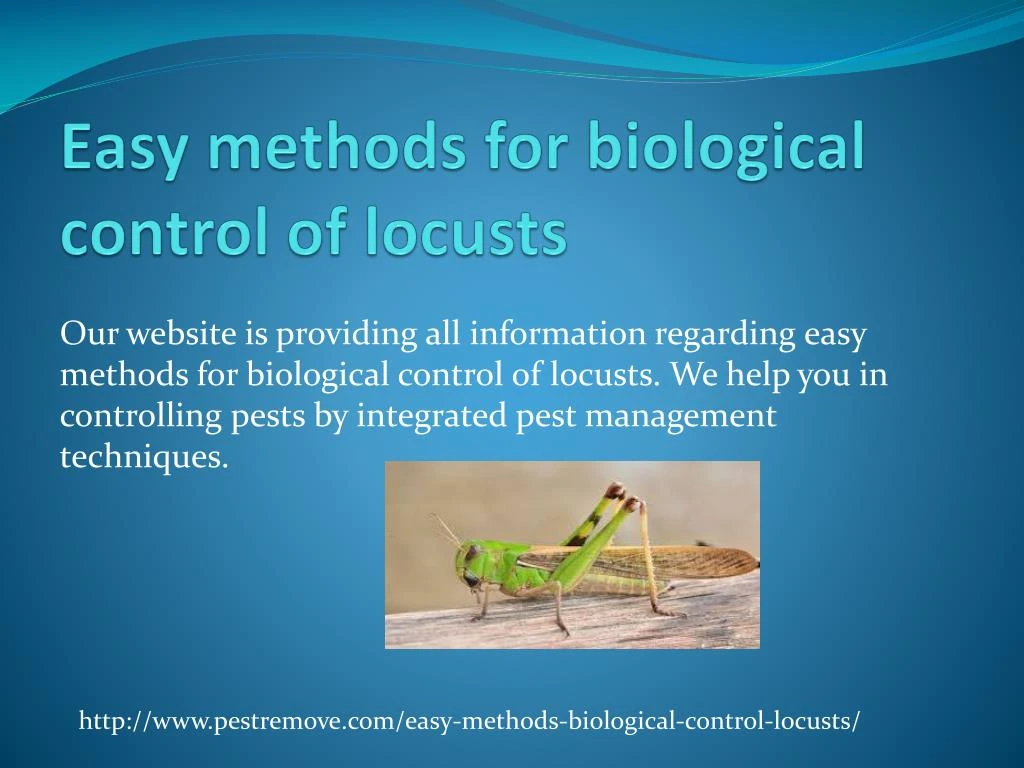 PPT - Easy methods for biological control of locusts ...