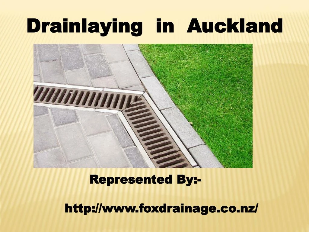 drainlaying in auckland n.
