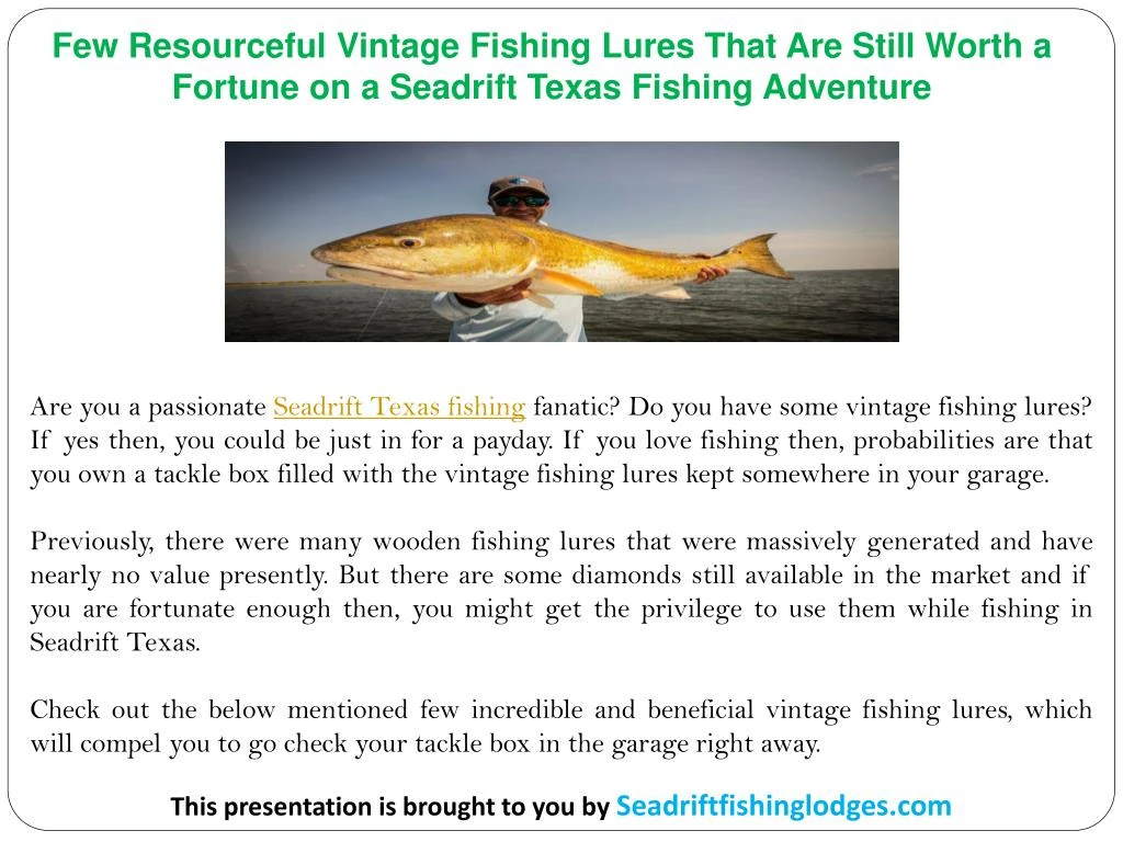 Fly Fishing Merit Badge Powerpoint - Unique Fish Photo