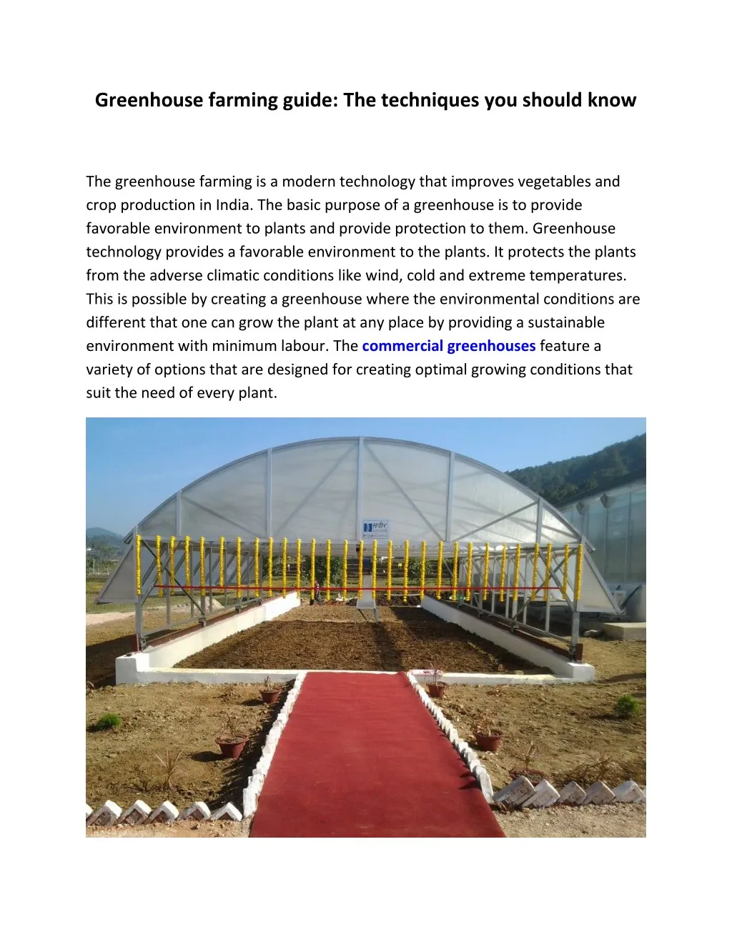 business planning guide greenhouse vegetable.pdf