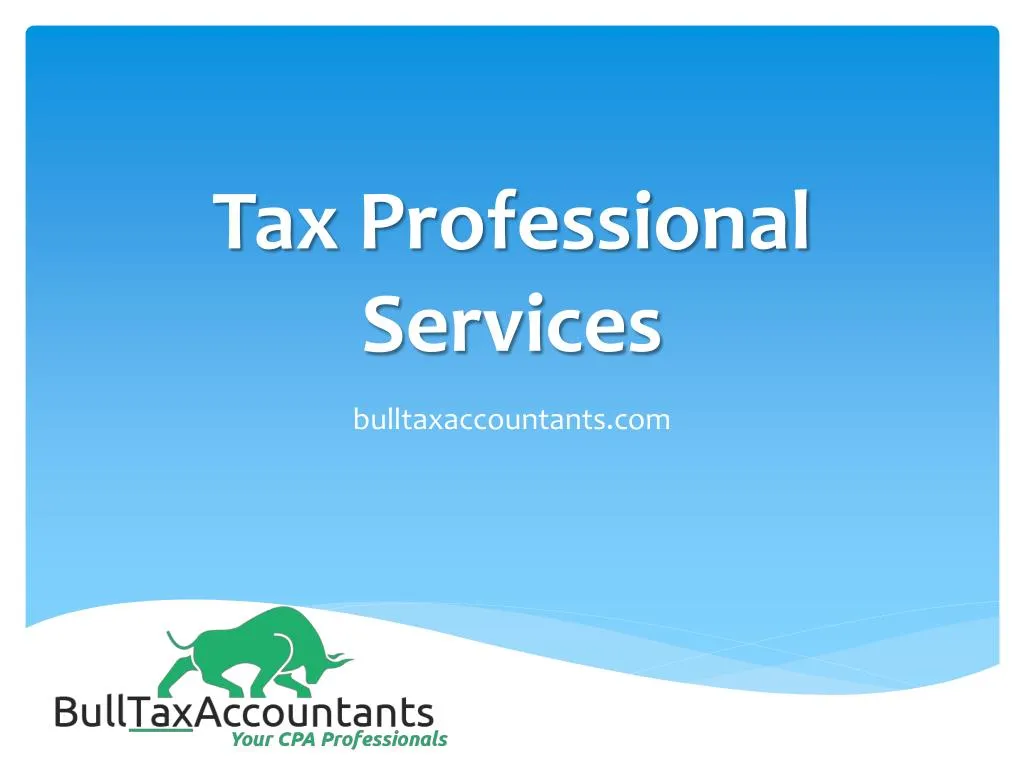 tax professional services n.