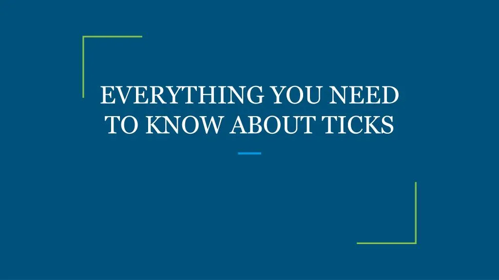 everything you need to know about ticks n.