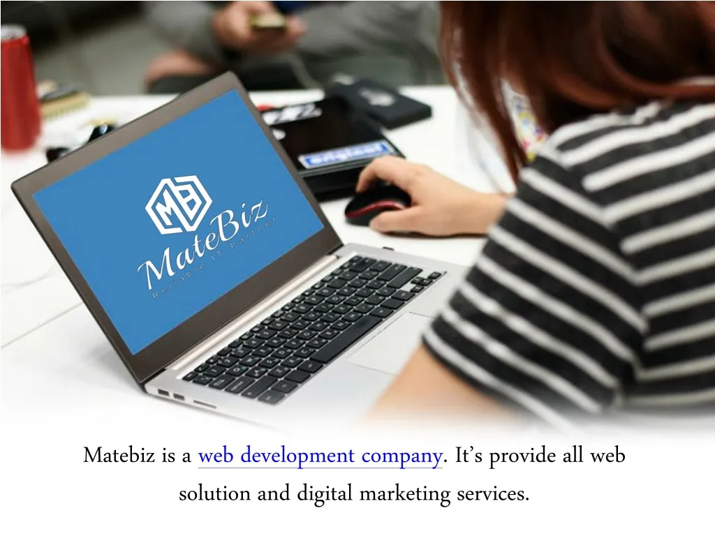 matebiz is a web development company it s provide n.
