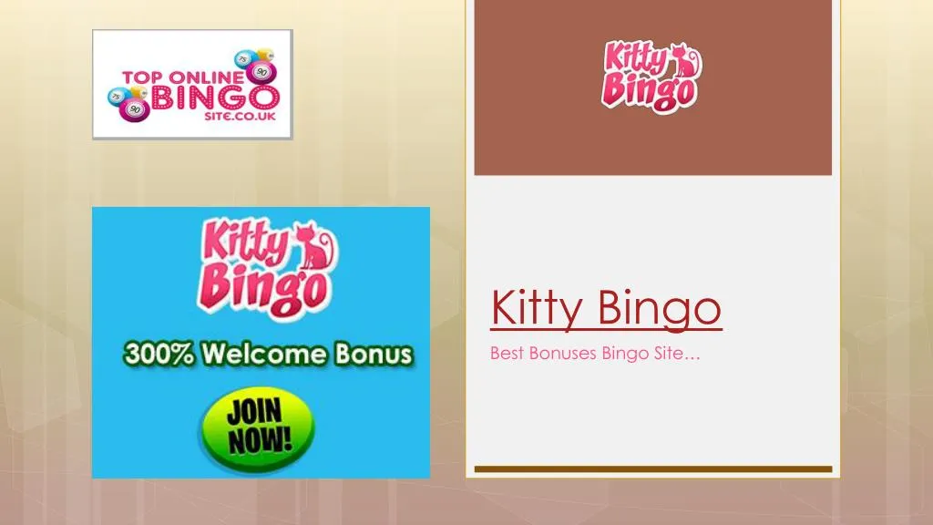 kitty bingo n.