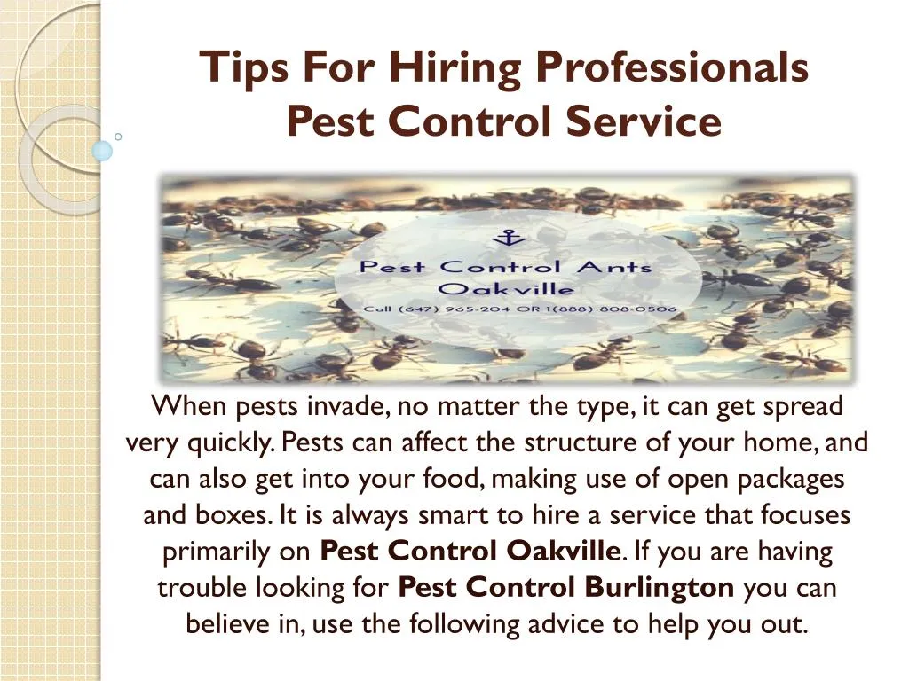 Ppt Tips For Hiring Professionals Pest Control Service Powerpoint Presentation Id7911750 7065