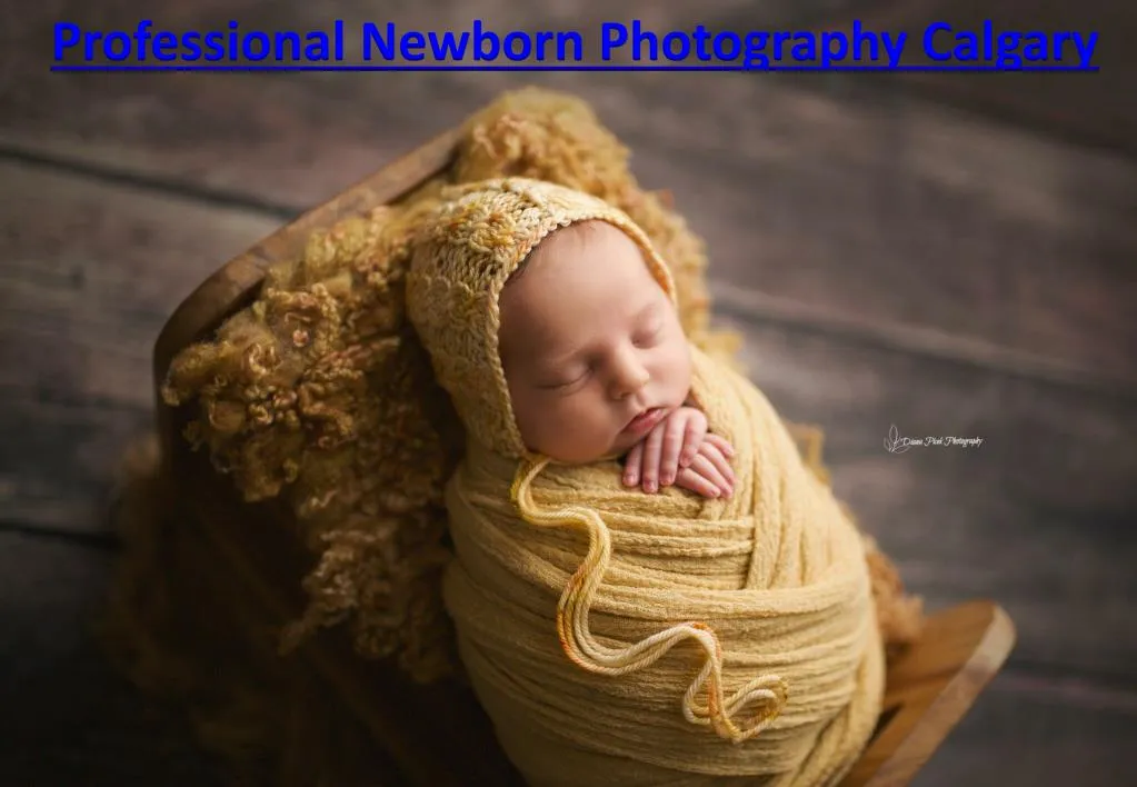 professional newborn photography calgary n.