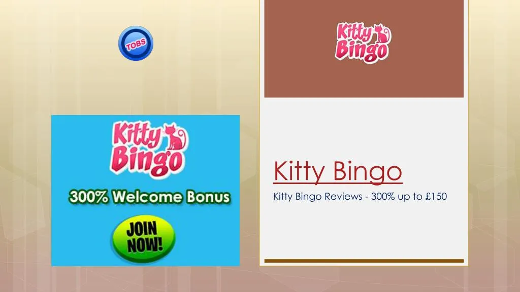 kitty bingo n.