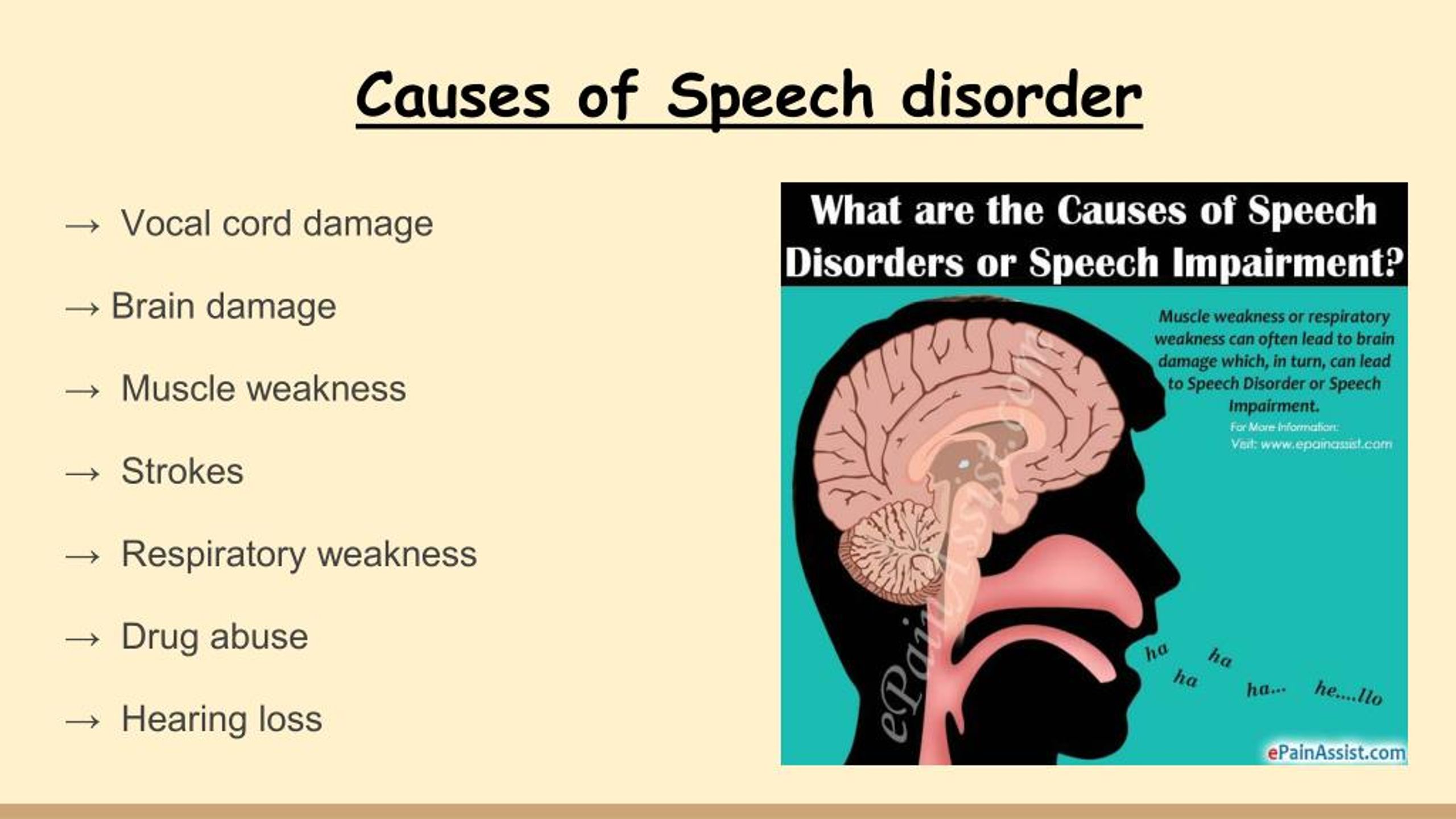 speech language impairment causes