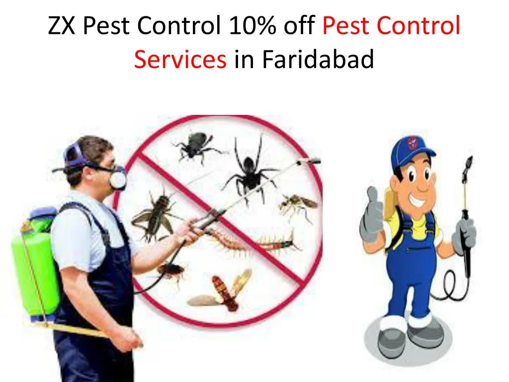 PPT - ZX Pest Control 10% off Pest Control Services in Faridabad ...