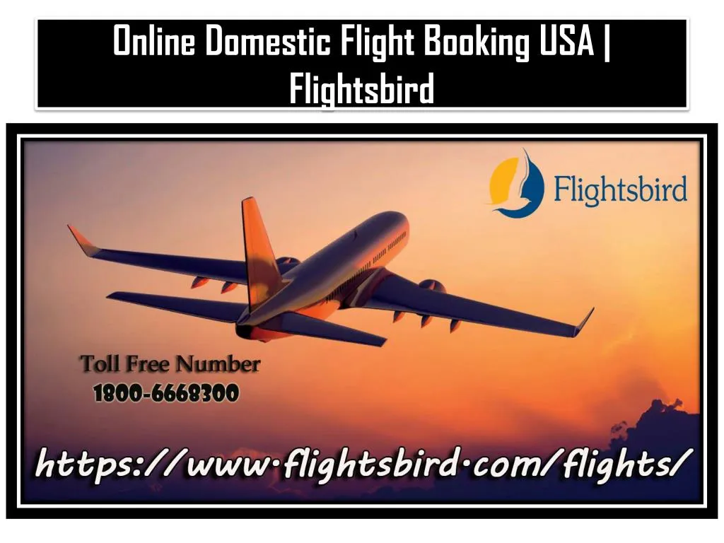 ppt-find-online-domestic-flight-booking-usa-at-flightsbird-powerpoint