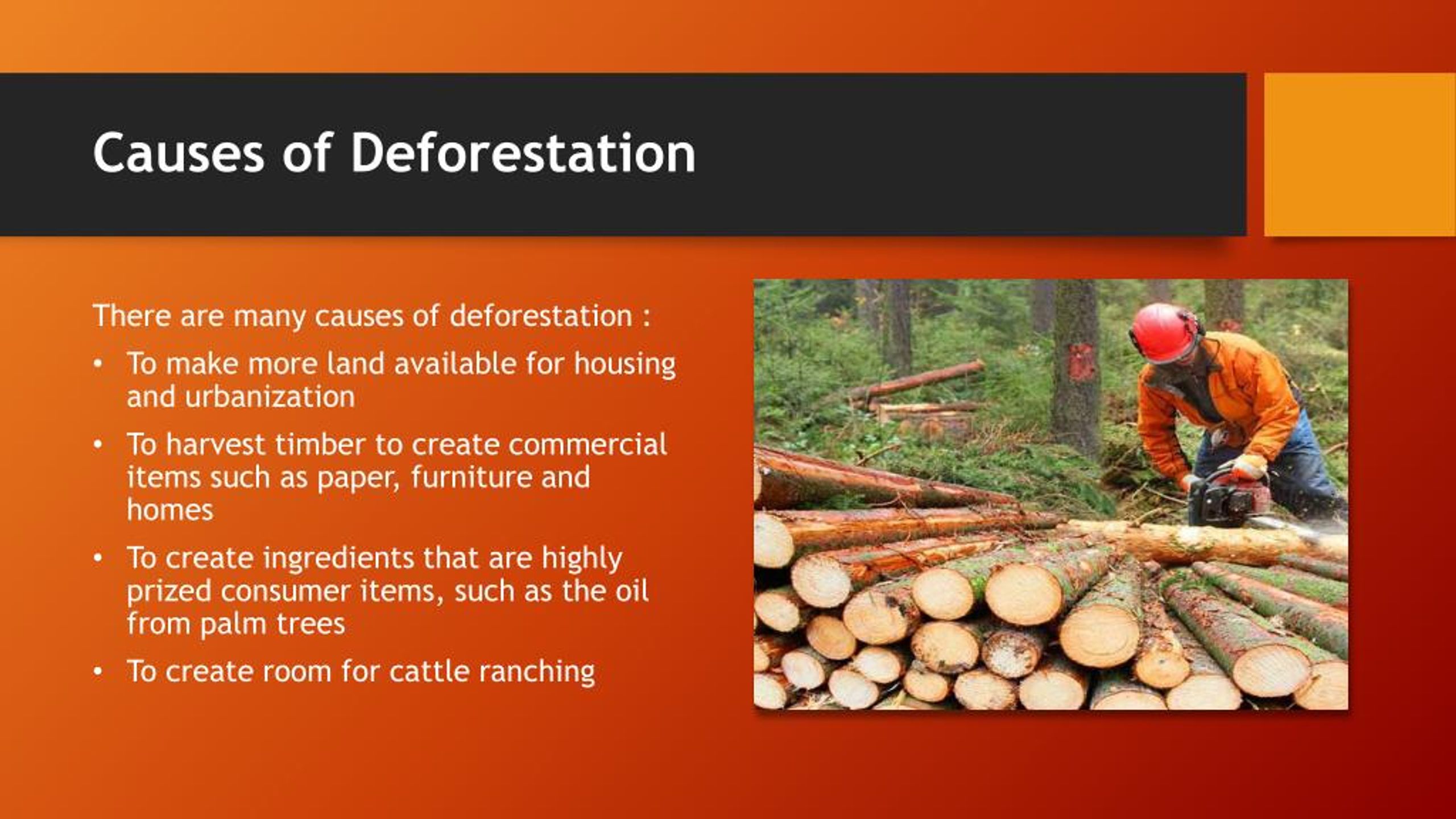 causes of deforestation