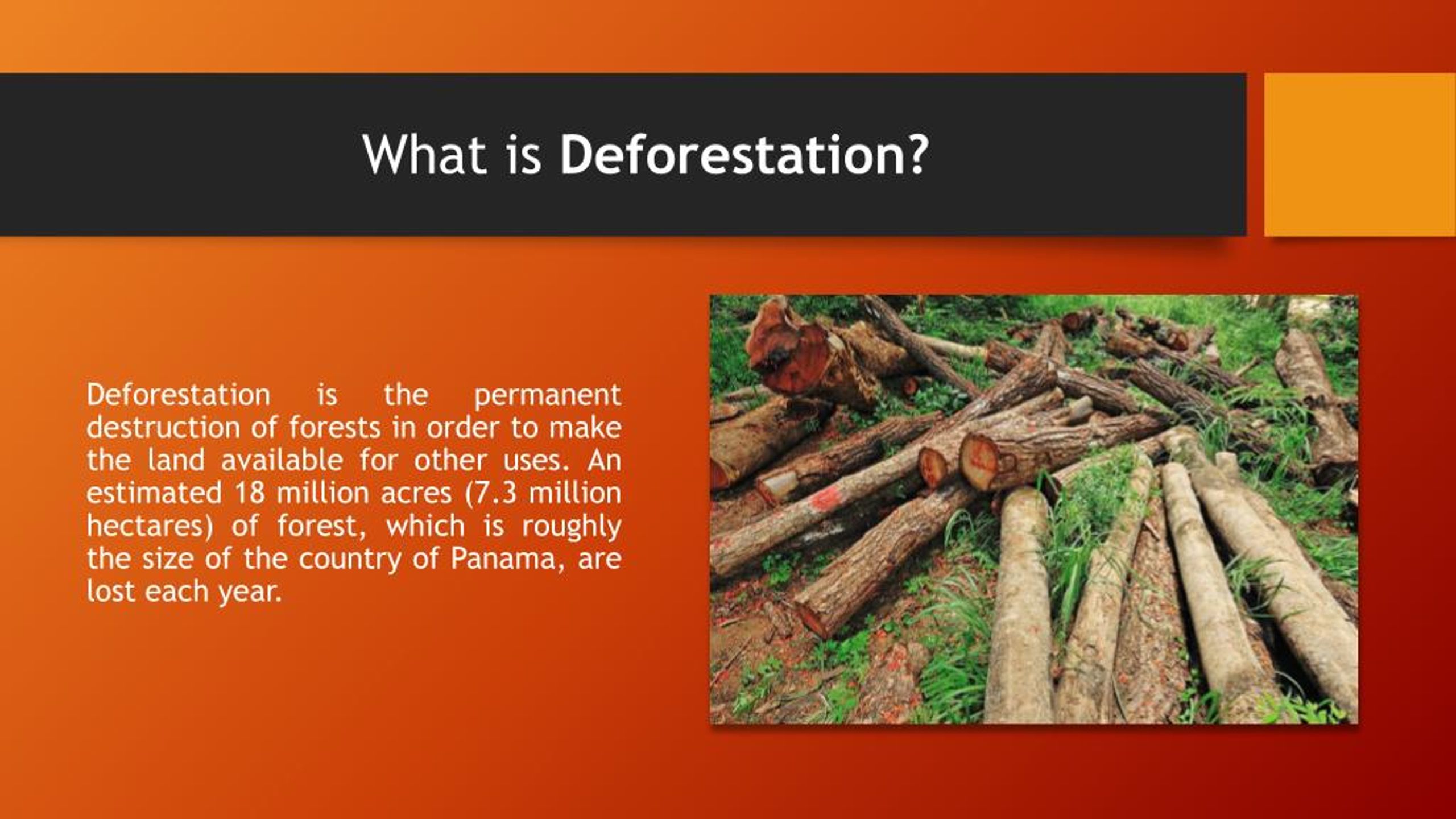 what is the meaning of deforestation essay