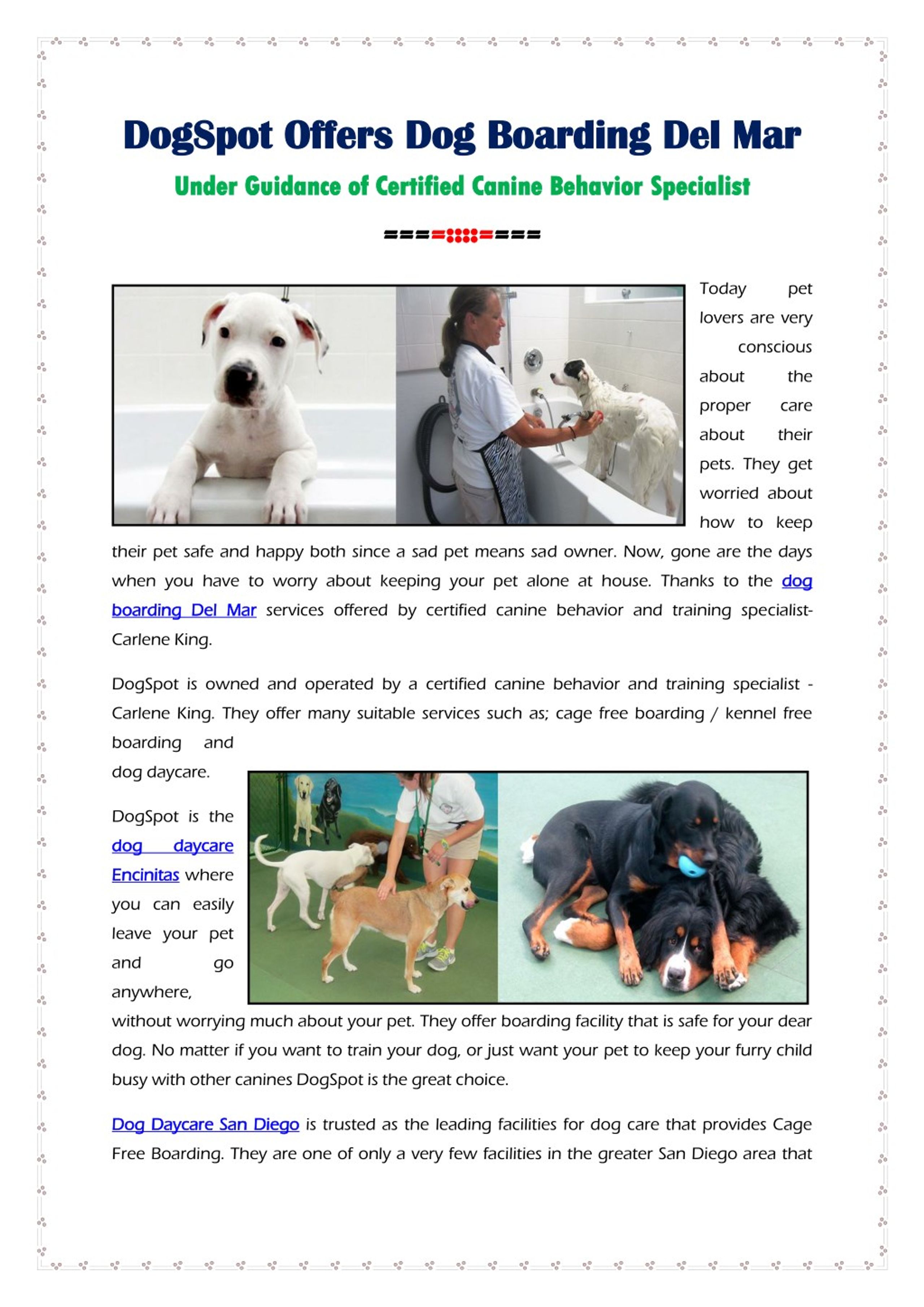 dogs dogspot offers dog boarding l