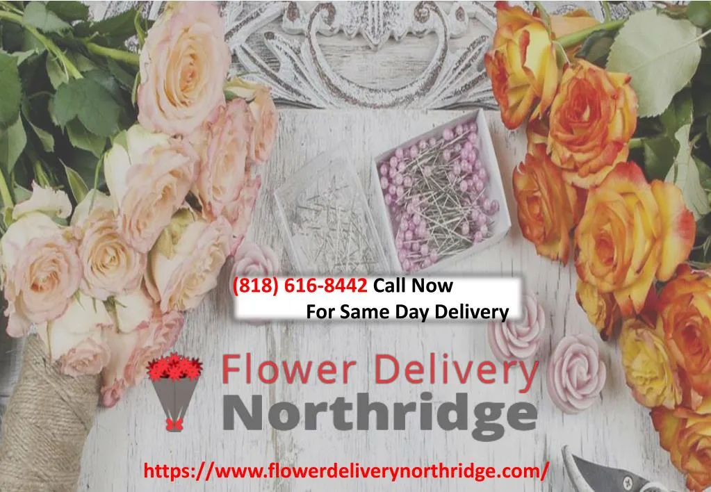 818 616 8442 call now for same day delivery n.