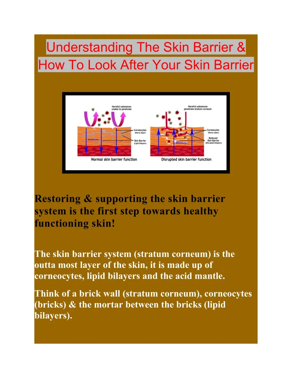 skin barrier