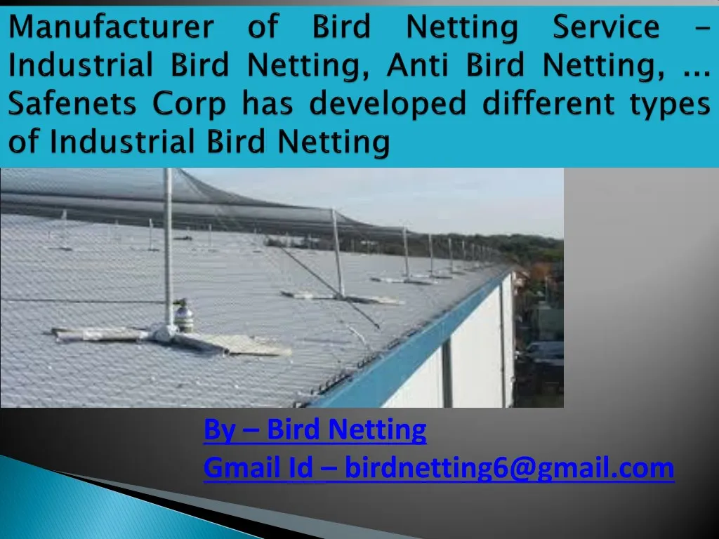 by bird netting gmail id birdnetting6@gmail com n.
