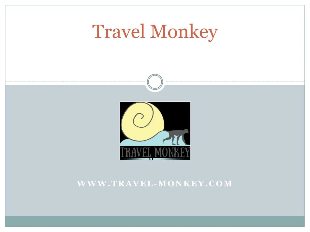 travel monkey n.