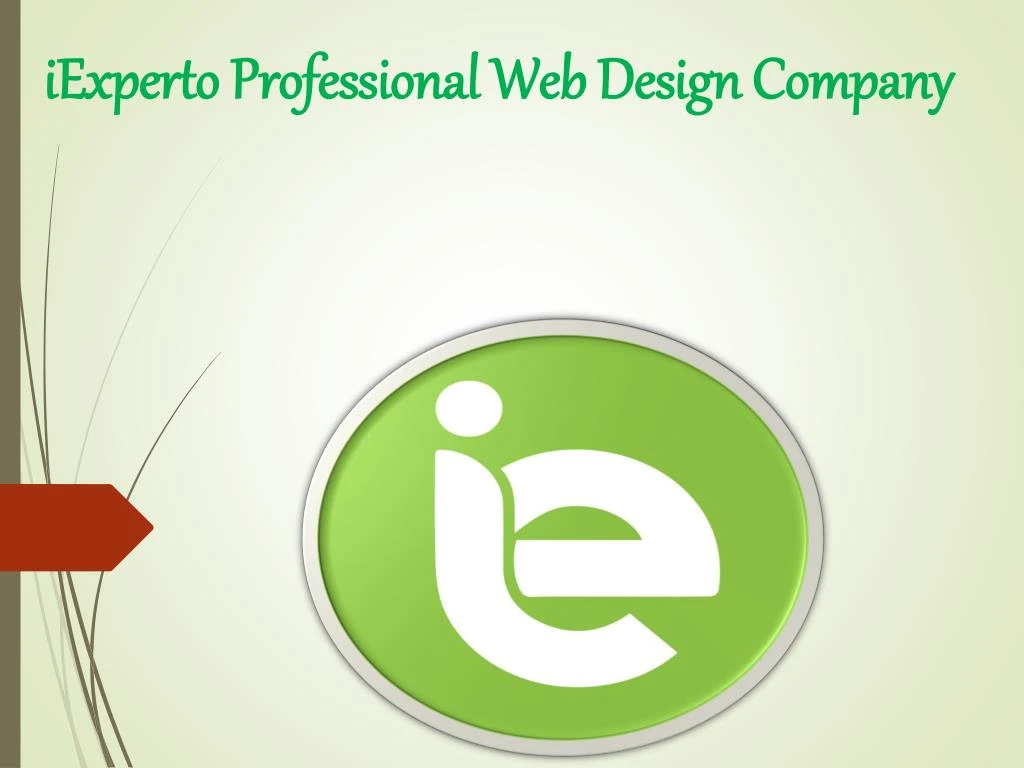 iexperto professional web design company n.