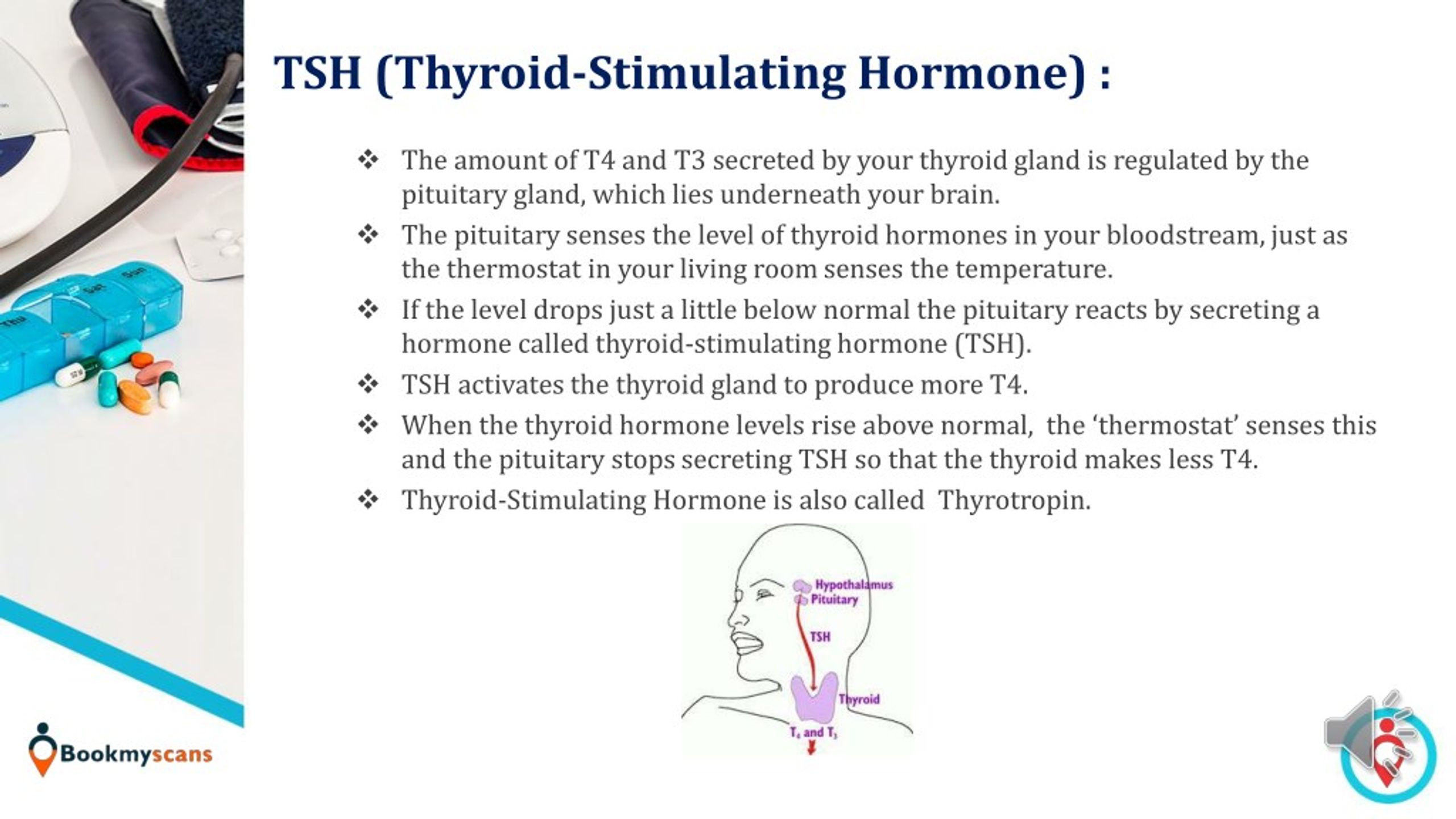 Ppt Thyroid Function Test Get An Overview Powerpoint Presentation