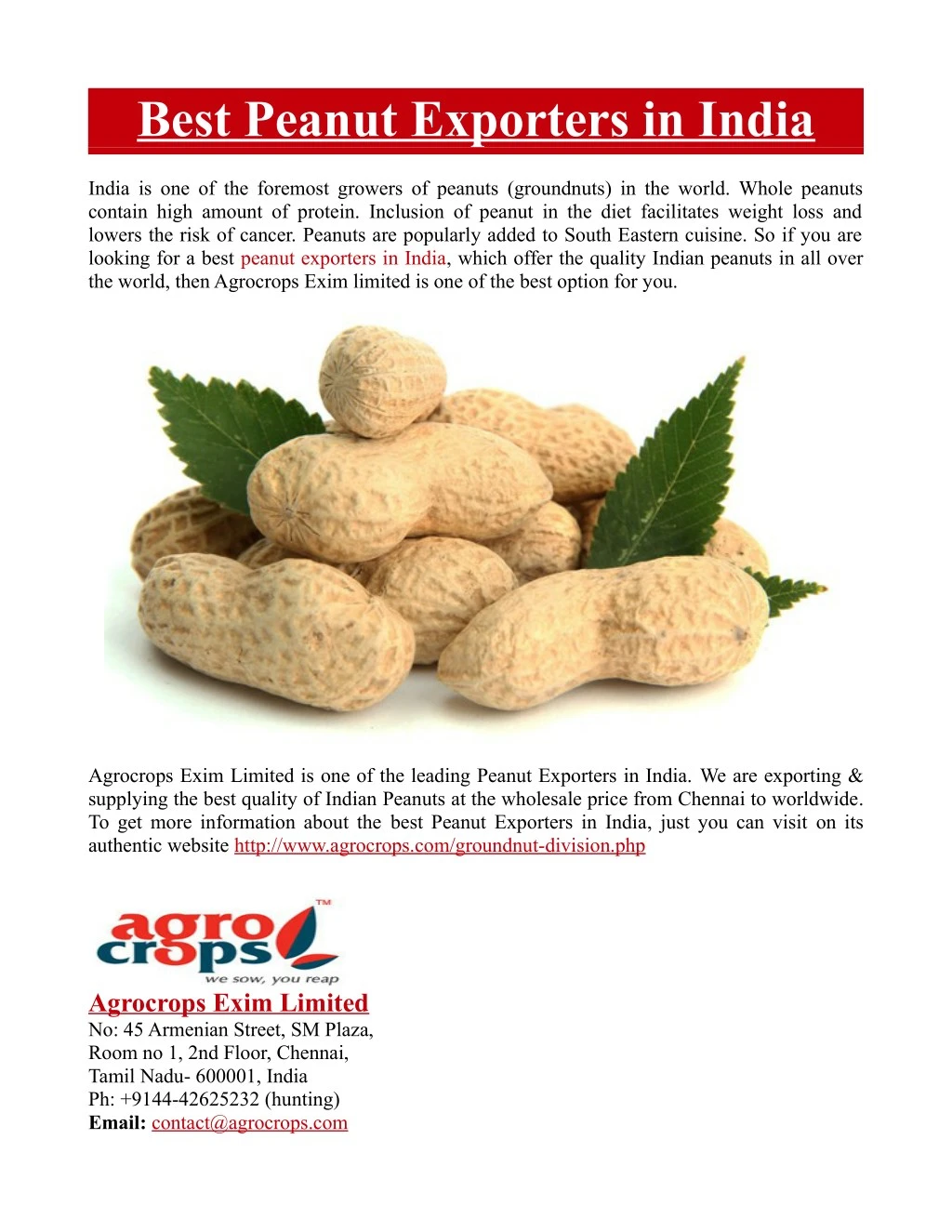 best peanut exporters in india n.