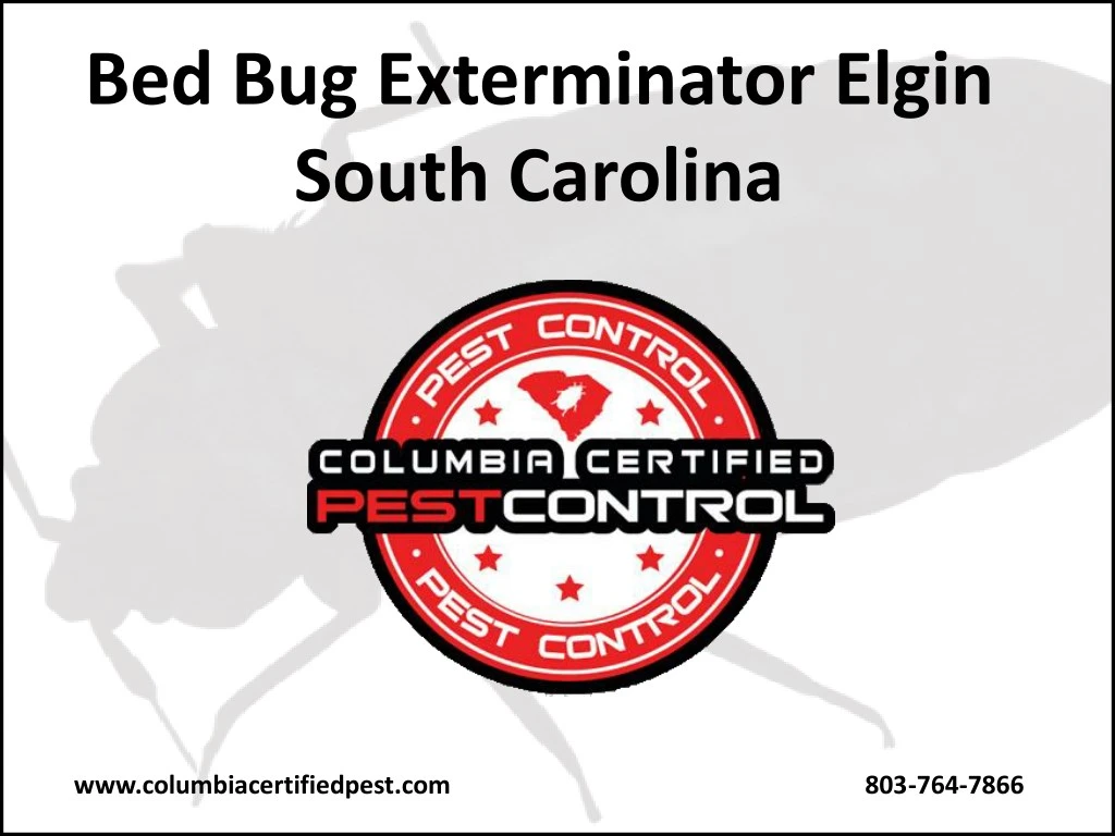 bed bug exterminator elgin south carolina n.
