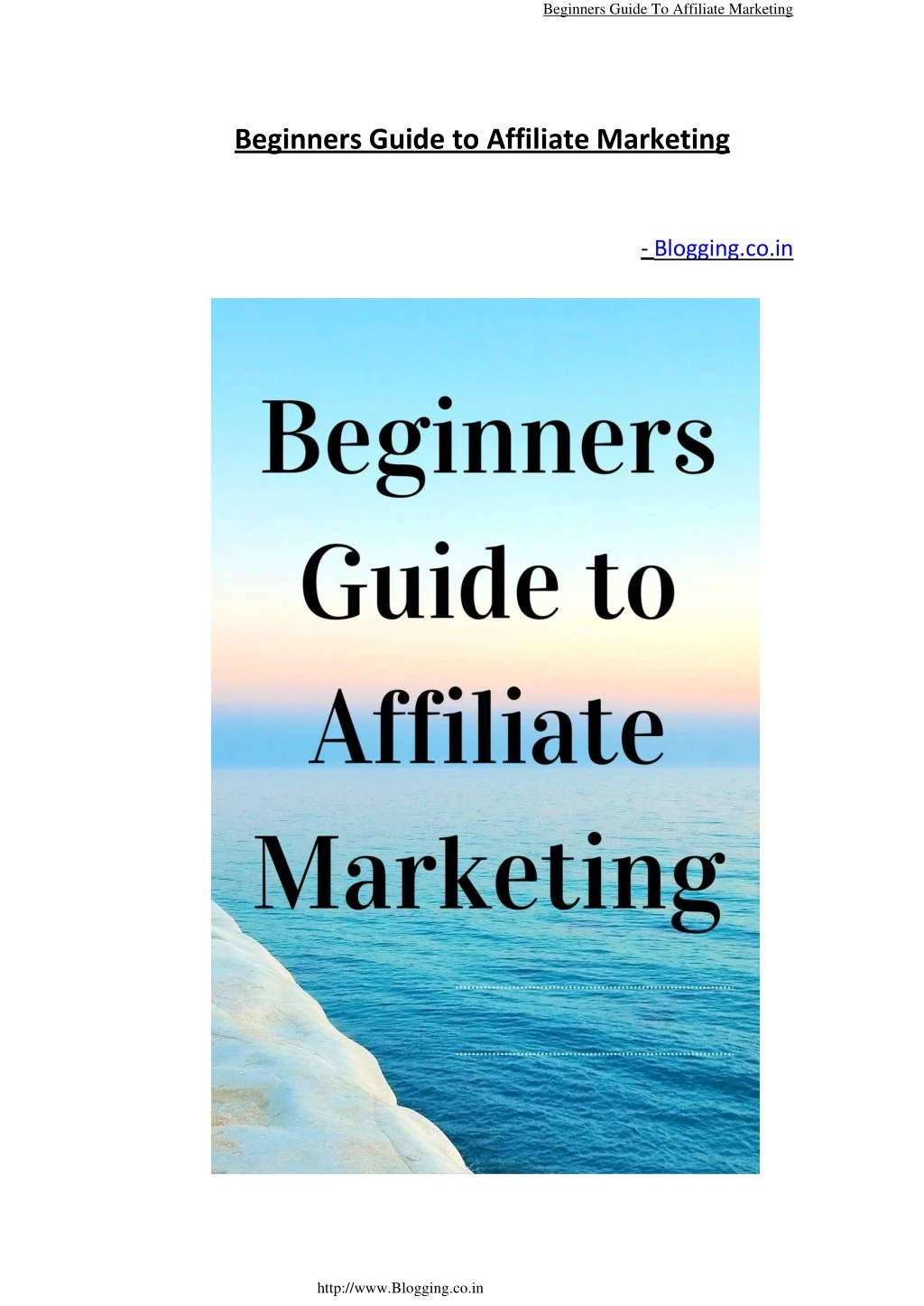 beginners guide to affiliate marketing n.